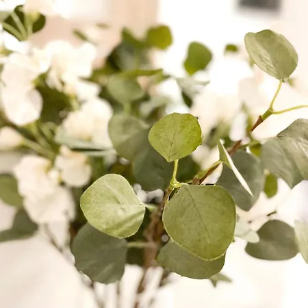 Apartamento Downtown Deak-ferris Wheel Luxury